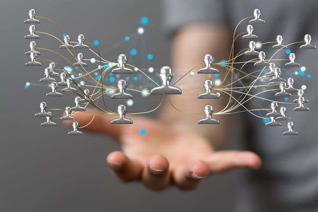 Shareholding Structure  career pathway