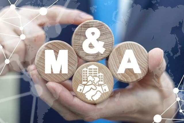 Merger  career pathway