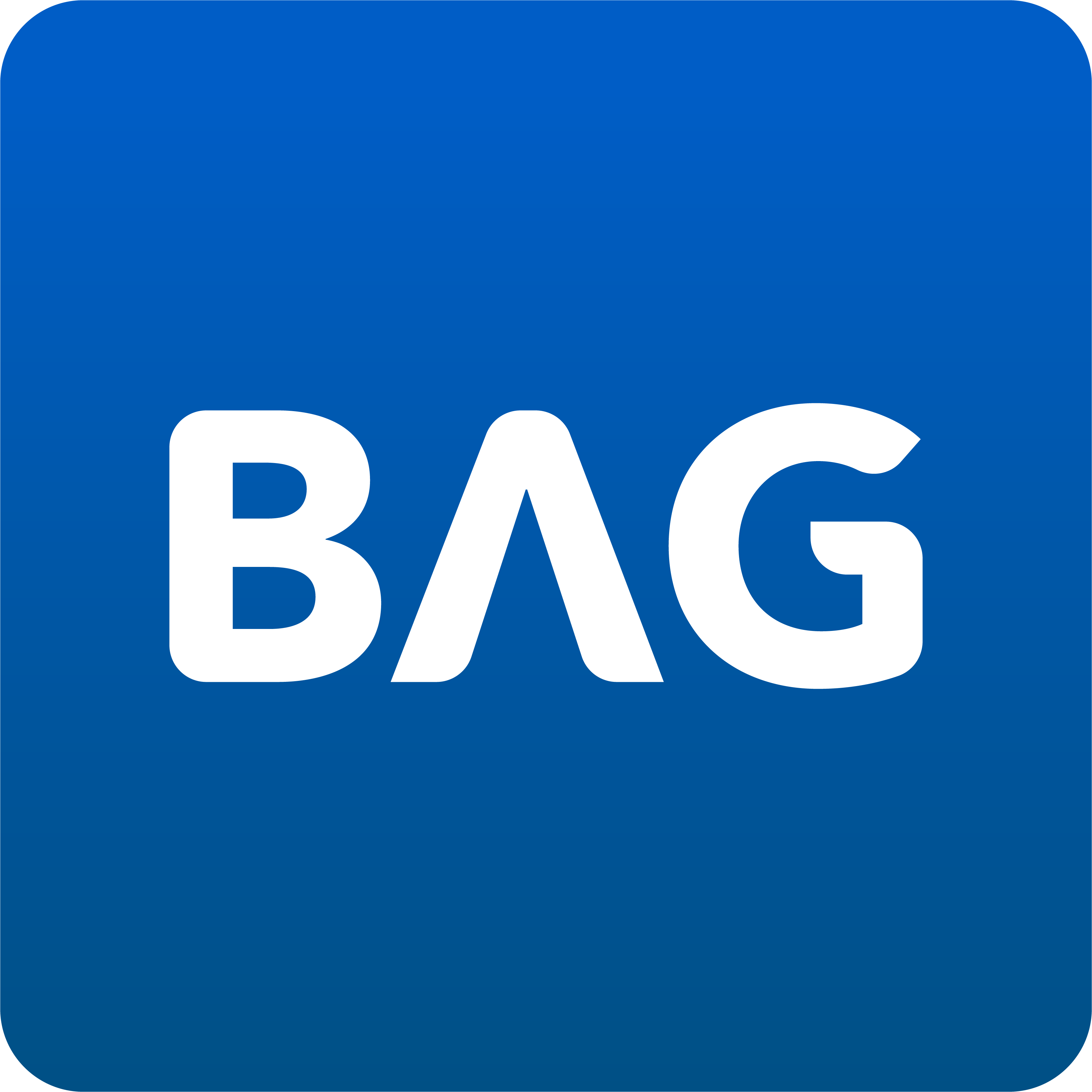 BAG : Software Engineer Intern  image