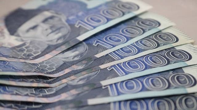 Raised Grant/ Subsidies  experience