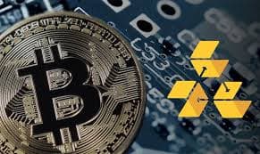 Portfolio Project experience