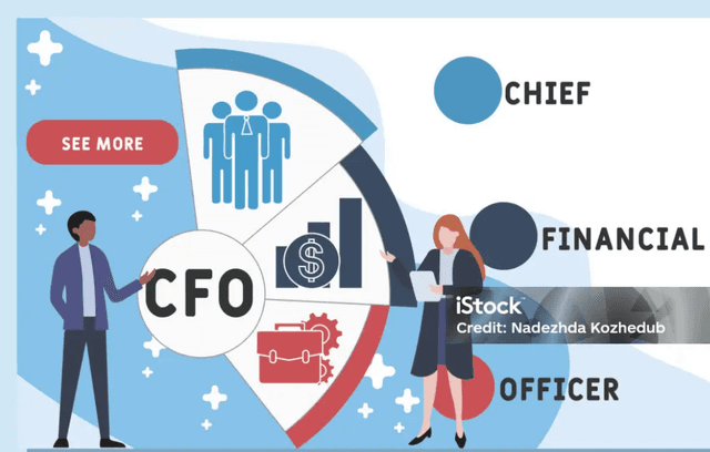 Designing CFO Outsourcing Service for Tech Startups experience