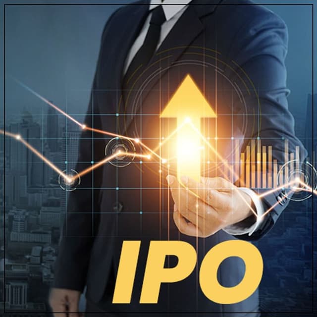 Initial Public Offering (IPO) experience